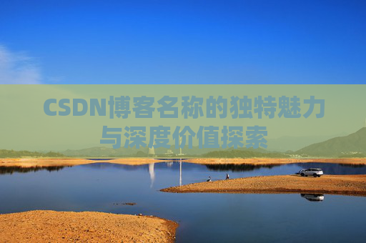 CSDN博客名称的独特魅力与深度价值探索